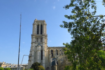 Poster - Notre Dame de Paris et grande lance de pompiers