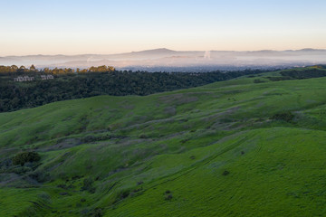 A wet winter has caused lush growth in the East Bay hills surrounding San Francisco Bay. Much of the year this region is quite dry and the hills appear golden rather than vibrant green.