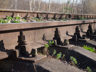 railroad tracks in the field