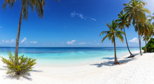 Wide Panorama View Of A Tropical Paradise Beach With Turquoise Sea, Coconut Palm Trees And Fine, White Sand
