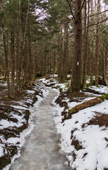 Icy Appalachian Trail, hiking trail in the Great Smoky Mountains National Park