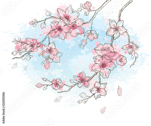 Cherry Blossom Watercolor Spring Sakura Flowers On Sky Blue