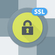 © vector_master - SSL Lock Safety button illustration