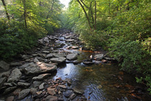 Trailside Creek In The Great Smoky Mountains National Park, Tennessee, In Early Summer.