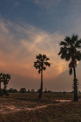 Wall Mural - Landscape Sunset sky