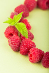 Poster - wreath made of raspberries on white background