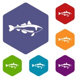 Fototapeta Dinusie - Sea fish icons vector colorful hexahedron set collection isolated on white