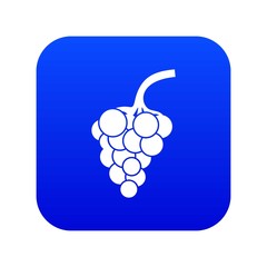 Wall Mural - Grape branch icon digital blue for any design isolated on white vector illustration