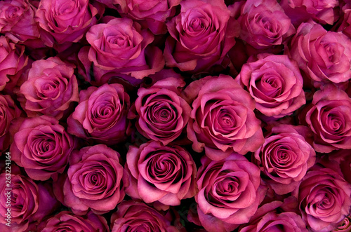 Big Bunch Of Fresh Dark Pink Roses In Bouquete Close Up Texture Background Buy This Stock Photo And Explore Similar Images At Adobe Stock Adobe Stock