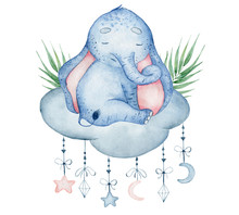 Watercolor Cute Elephant Sitting On The Cloud Animal Illustration