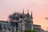 Fototapeta Boho - Paris, France - April 16th 2019: Notre Dame Cathedral the morning after the fire 