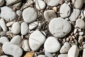 Wall Mural - Large sea pebbles with small particles of dirt on the surface