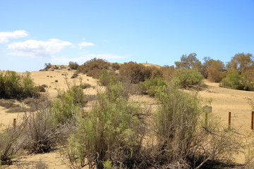 Aerial view of the Maspalomas dunes on Gran Canaria island.