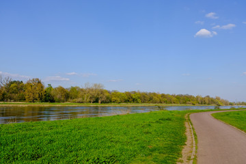 Sticker - River elbe with blue sky trees and grass