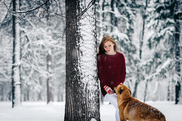 Wall Mural - a girl in a Burgundy sweater and white pants stands leaning against a tree near the Red Dog amid the snowcovered forest