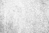 Fototapeta Las - White Grunge Wall Texture Background.