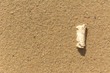 © Till - Zigarettenstummel auf Sand