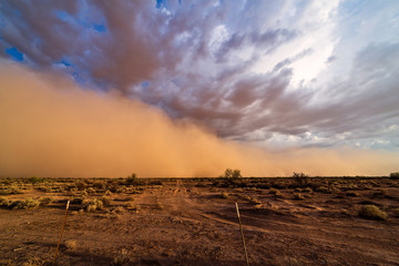 Wall Mural - haboob dust storm in the desert