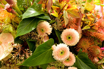 Wall Mural - Protea, gerberas, callas and other exotic flowers in bouquete