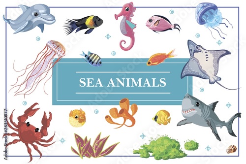 Cartoon Sea Life Concept