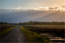 A Road Runs To The Horizon In A Marsh And Swampy Wetlands At Sunset