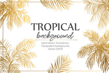 Background with palm trees. Template of greeting card or invitation. Vector illustration