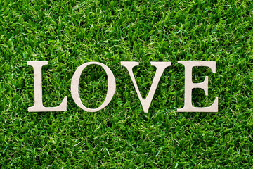 Poster - Wood letter in word love on artificial green grass background