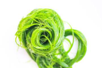 Green spirogyra on white background , algae nature patterns texture top view