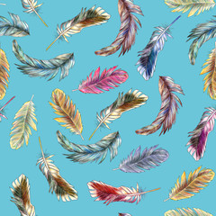  Seamless pattern of colored feathers painted in watercolor