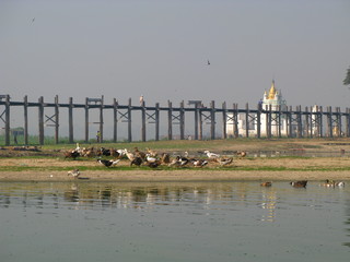 Wall Mural - Amarapura, Myanmar