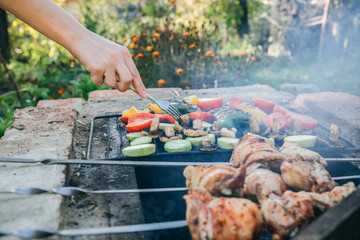 Vegetables and meat on grill. Pepper, tomatoes, mushrooms and zucchini squash. Chicken on open fire. Summer barbecue party. Healthy natural food.