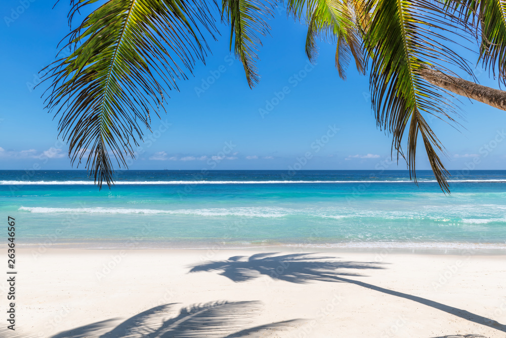 Paradise beach with white sand and coco palms. Summer vacation and tropical beach concept.   - obrazy, fototapety, plakaty 