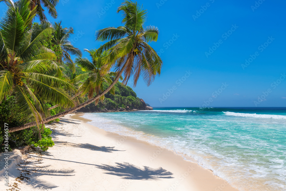 Sunny beach with palm trees and turquoise sea in Jamaica Caribbean island.  - obrazy, fototapety, plakaty 