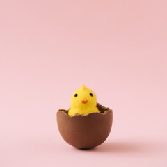 Chick hatched out of chocolate Easter egg on pastel pink background. Minimal holiday concept.