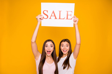 Sticker - Portrait of nice-looking cute charming attractive girlish cheerful cheery crazy straight-haired girls holding in hands raising up board promo best deal isolated on bright vivid shine yellow background