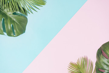 Tropical background with pastel pink and blue copy space. Minimal summer concept. Flat lay.