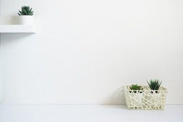 Wight desk table top with tree pot on white wall, with copy space