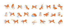 Collection Of Akita Inu Performing Daily Activities. Set Of Cute Japanese Dog Sleeping, Playing, Barking, Howling, Eating. Everyday Life Of Domestic Animal Or Pet. Flat Cartoon Vector Illustration.