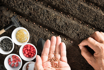Poster - Farmer's hand planting seeds in soil