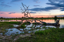 Sunrise Over The Okavango Delta In Botswana Africa