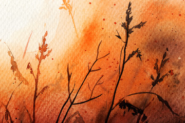 dawn in the field. evening. the sun. sunset the shadows. summer  plants. grass. botany. watercolor