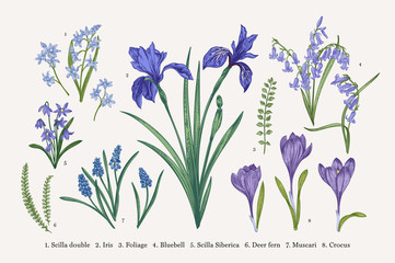 Poster - Set with spring flowers.