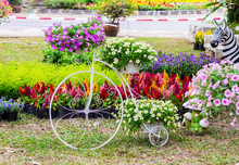 Vintage White Bike And Flower Pot Decoration In Cozy Home Flowers Garden On Summer.  
