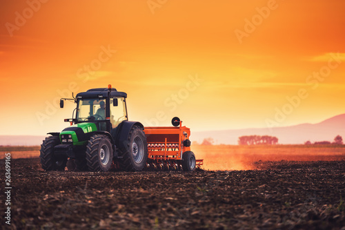 Cuadros en Lienzo Beautiful sunset, farmer in tractor preparing land with seedbed cultivator