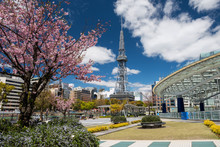 Oasis21 And TV Tower With Sakura Blossom, Nagoya