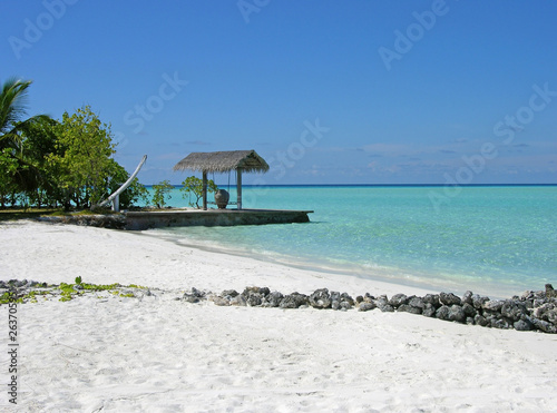 Plage Et Ponton Dembarquement Dune île Des Maldives Buy