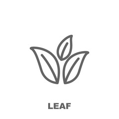 Poster - Leaf icon. Element of row matterial icon. Thin line icon for website design and development, app development. Premium icon