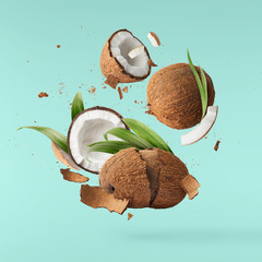 Wall Mural - Fresh ripe coconut isolated