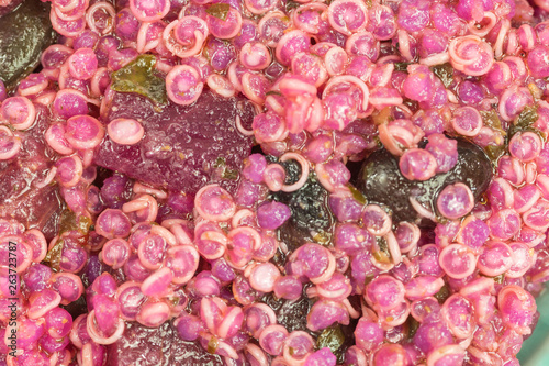 pink quinoa salad with beetroot and pumpkin seeds © seramoje
