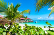 © Nancy Pauwels - Palm trees on tropical beach, St Barths, Caribbean Island.